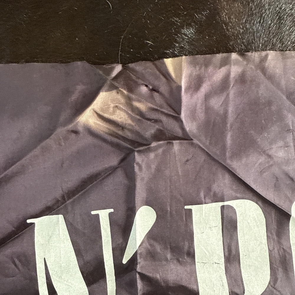 Vintage GUNS N AND ROSES Banner FLAG Tapestry WALL HANGING Poster AXL Slash 1988 - Picture 12 of 16